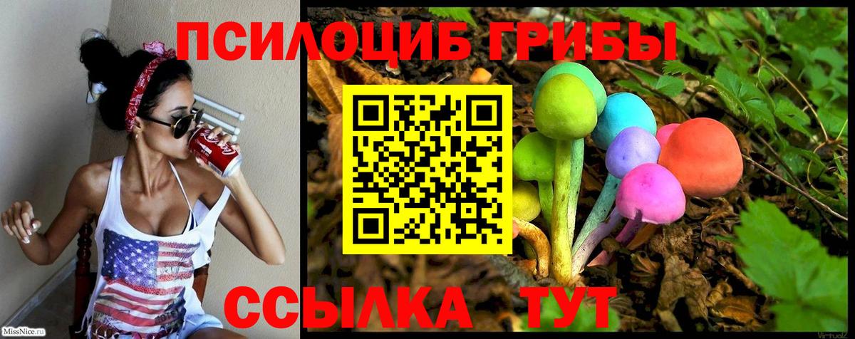 Псилоцибиновые грибы GOLDEN TEACHER  Псилоцибиновые грибы прущие грибы  купить  цена  Вход с VPN  Крымск 